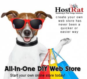 Web store, Ecommerce online store
