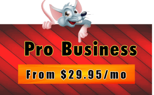 Hostrat Pro Business Hosting Plan